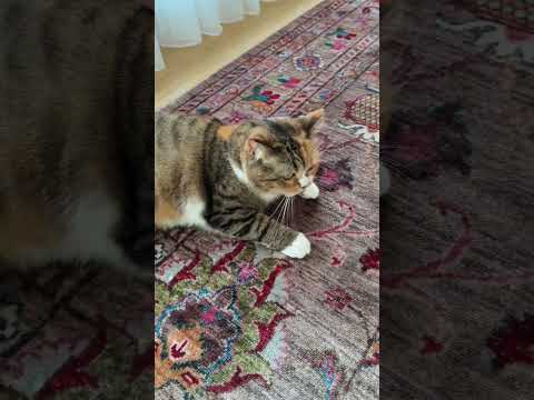 Vintage Stil Bej Zemin Halı - ATK 08